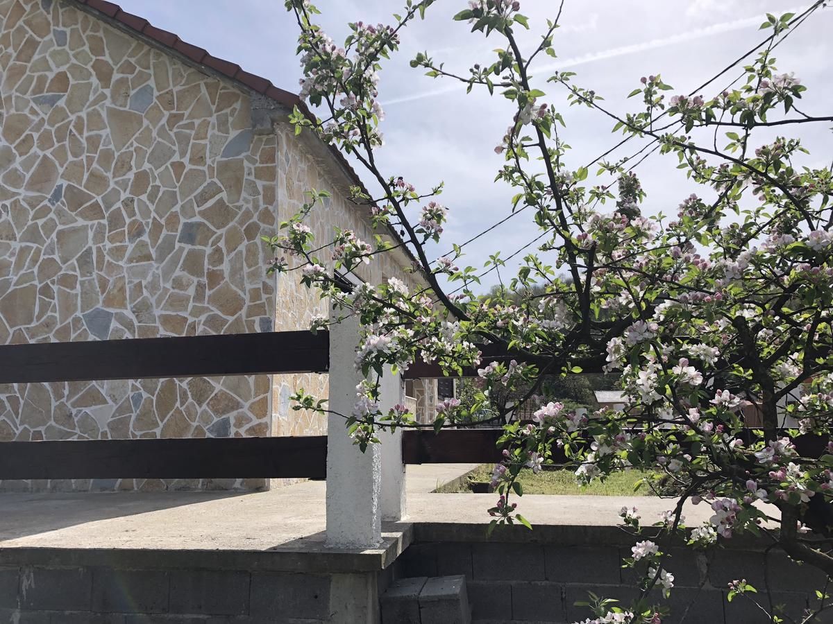 Дома для отпуска Holiday Home Ivana Вирпазар