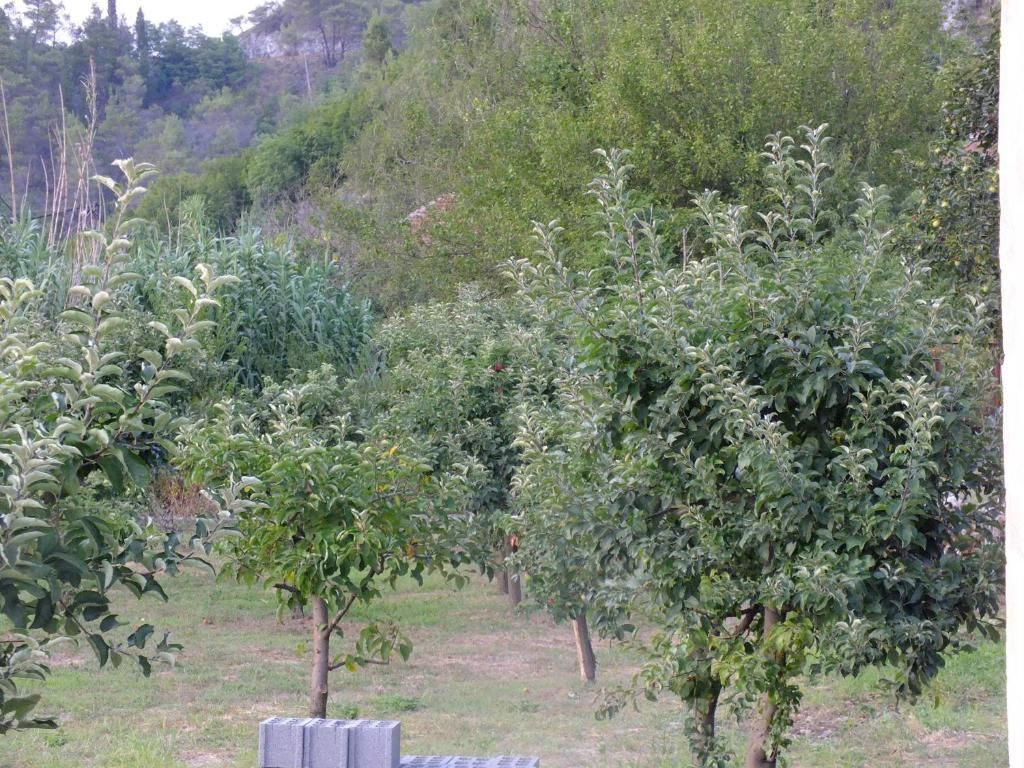 Дома для отпуска Holiday Home Ivana Вирпазар