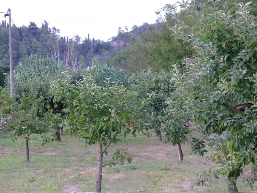 Дома для отпуска Holiday Home Ivana Вирпазар