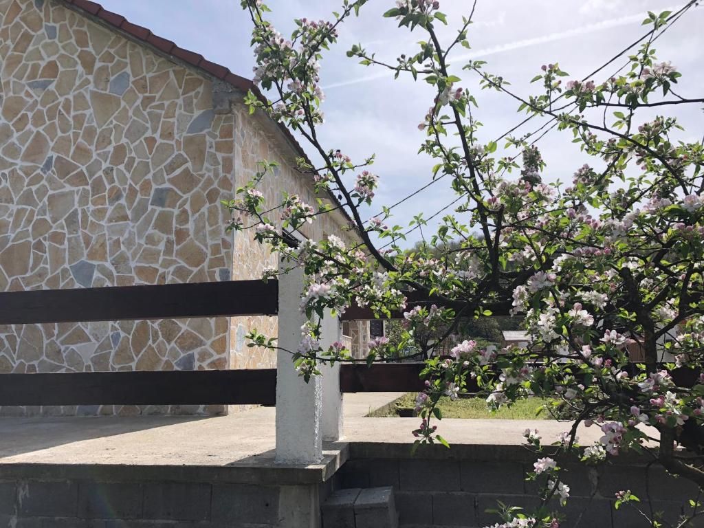 Дома для отпуска Holiday Home Ivana Вирпазар