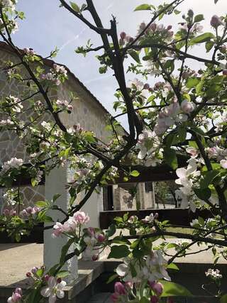 Дома для отпуска Holiday Home Ivana Вирпазар Люкс с 2 спальнями-40