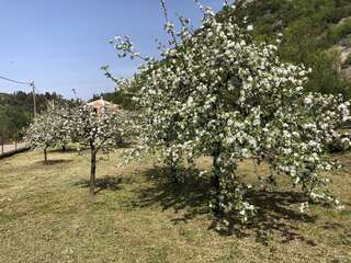 Дома для отпуска Holiday Home Ivana Вирпазар Люкс с 2 спальнями-41