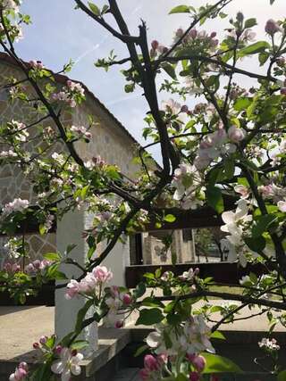 Дома для отпуска Holiday Home Ivana Вирпазар Люкс с 2 спальнями-70