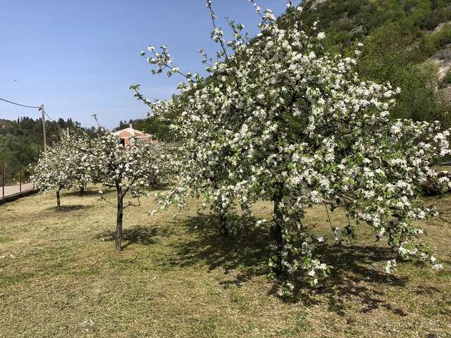 Дома для отпуска Holiday Home Ivana Вирпазар-43