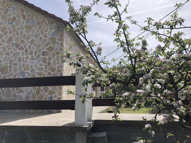 Дома для отпуска Holiday Home Ivana Вирпазар-44
