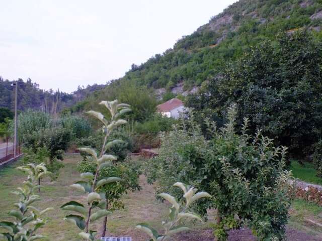 Дома для отпуска Holiday Home Ivana Вирпазар-48