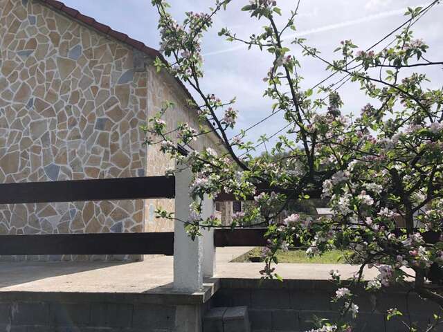 Дома для отпуска Holiday Home Ivana Вирпазар-70