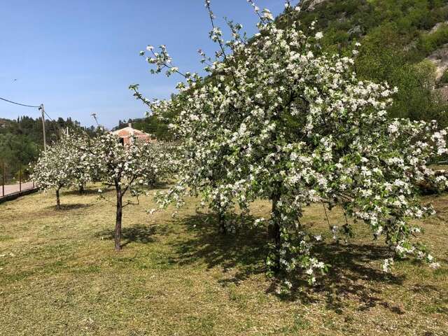 Дома для отпуска Holiday Home Ivana Вирпазар-71